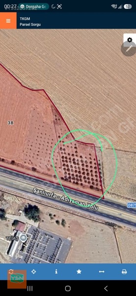 Yasin Batan' Dan Günışık Bozova Yol Üzeri Satılık Zeytinlik! — fotoğraf 2
