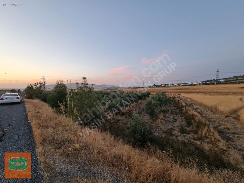 Yasin Batan' Dan Günışık Bozova Yol Üzeri Satılık Zeytinlik! — fotoğraf 4