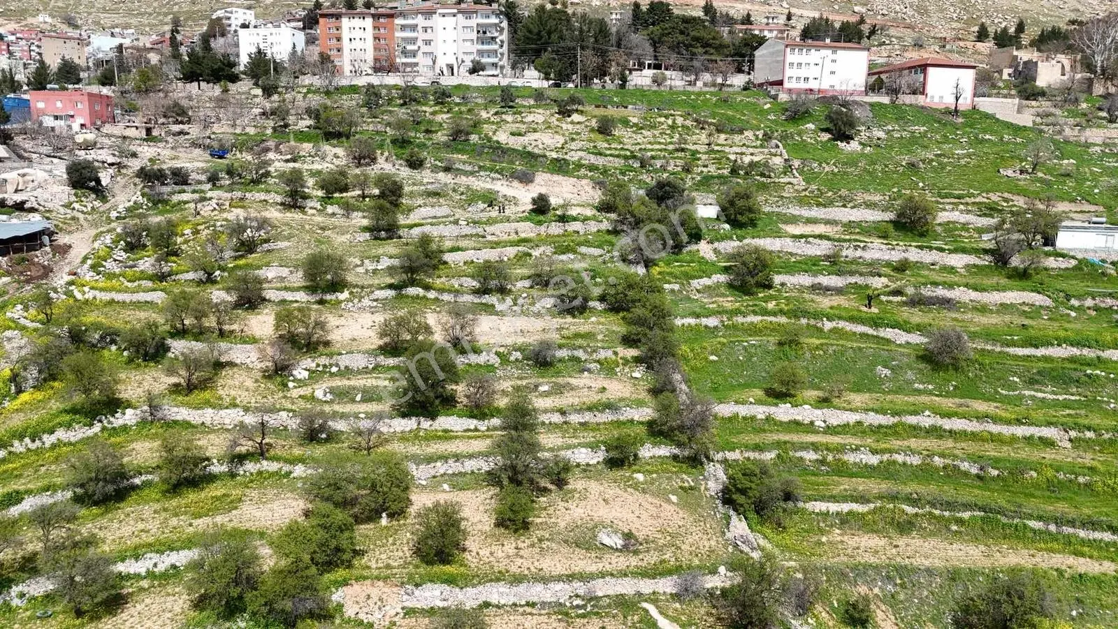 Murat Emlaktan Ordu Evi Yani 10.5 Dönüm Manzaralı Arazi Satılık — fotoğraf 3