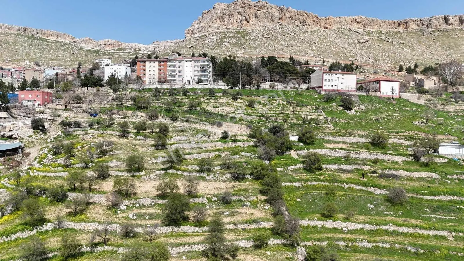 Murat Emlaktan Ordu Evi Yani 10.5 Dönüm Manzaralı Arazi Satılık — fotoğraf 4