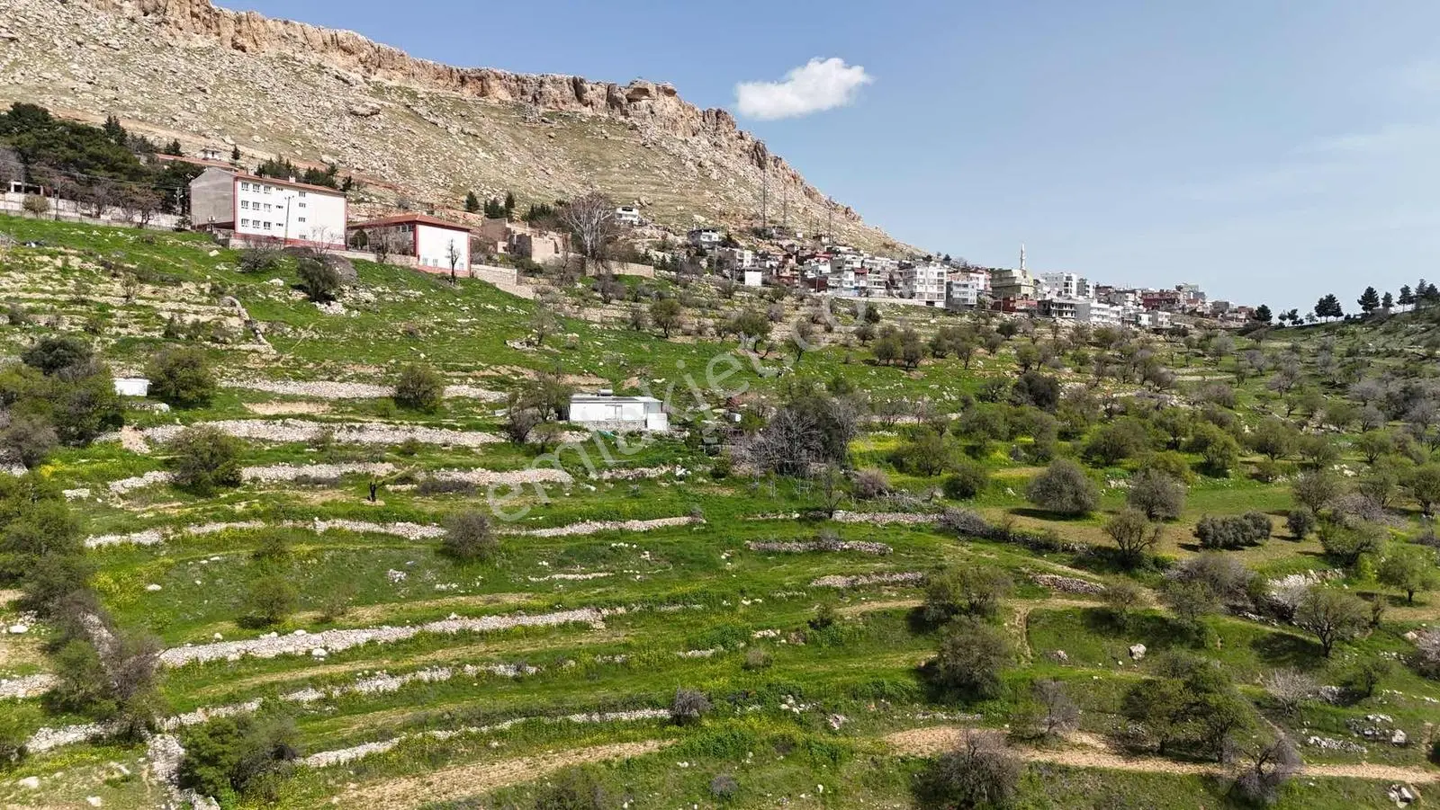 Murat Emlaktan Ordu Evi Yani 10.5 Dönüm Manzaralı Arazi Satılık — fotoğraf 5