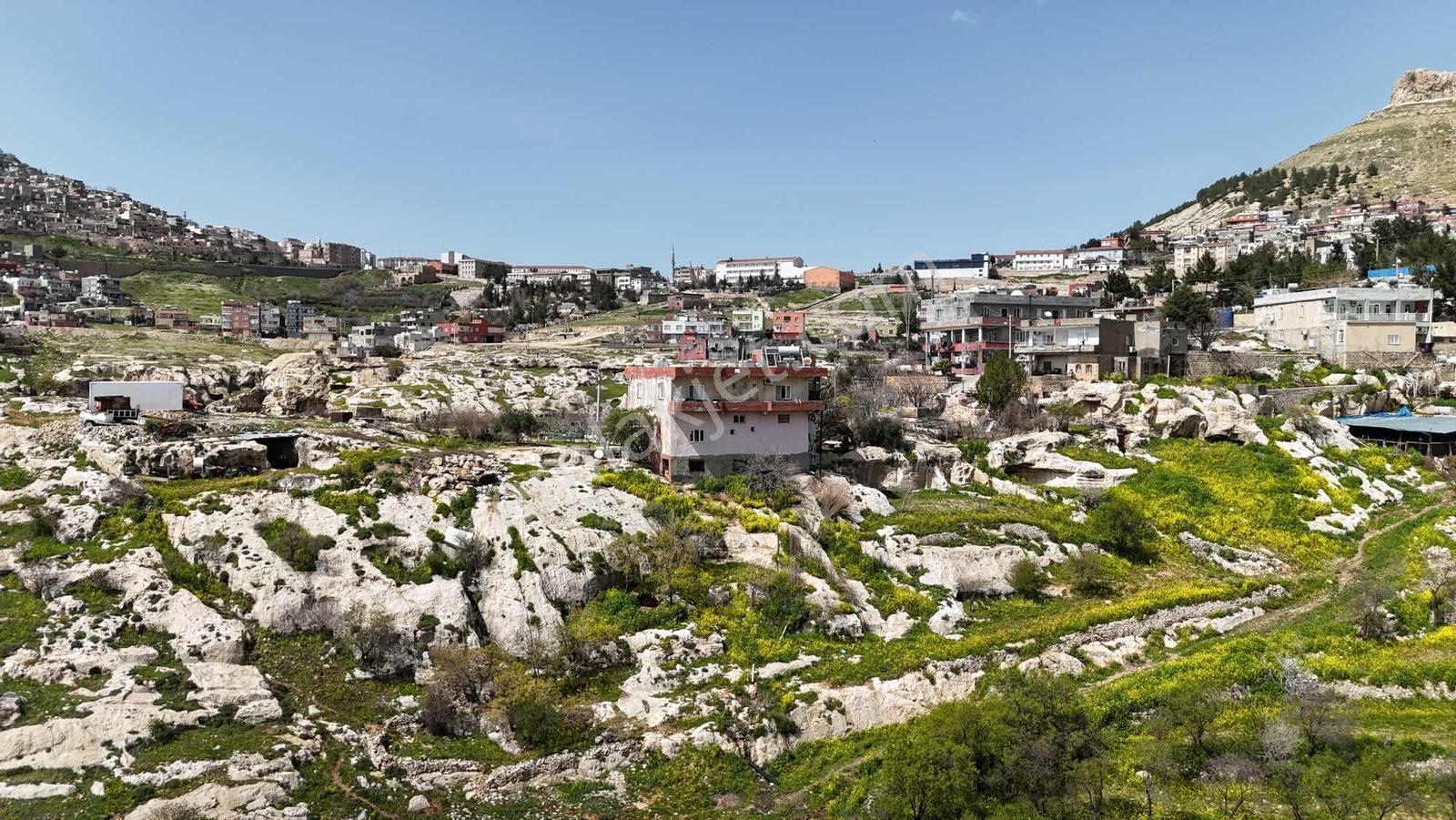 Murat Emlaktan Ordu Evi Yani 10.5 Dönüm Manzaralı Arazi Satılık — fotoğraf 6