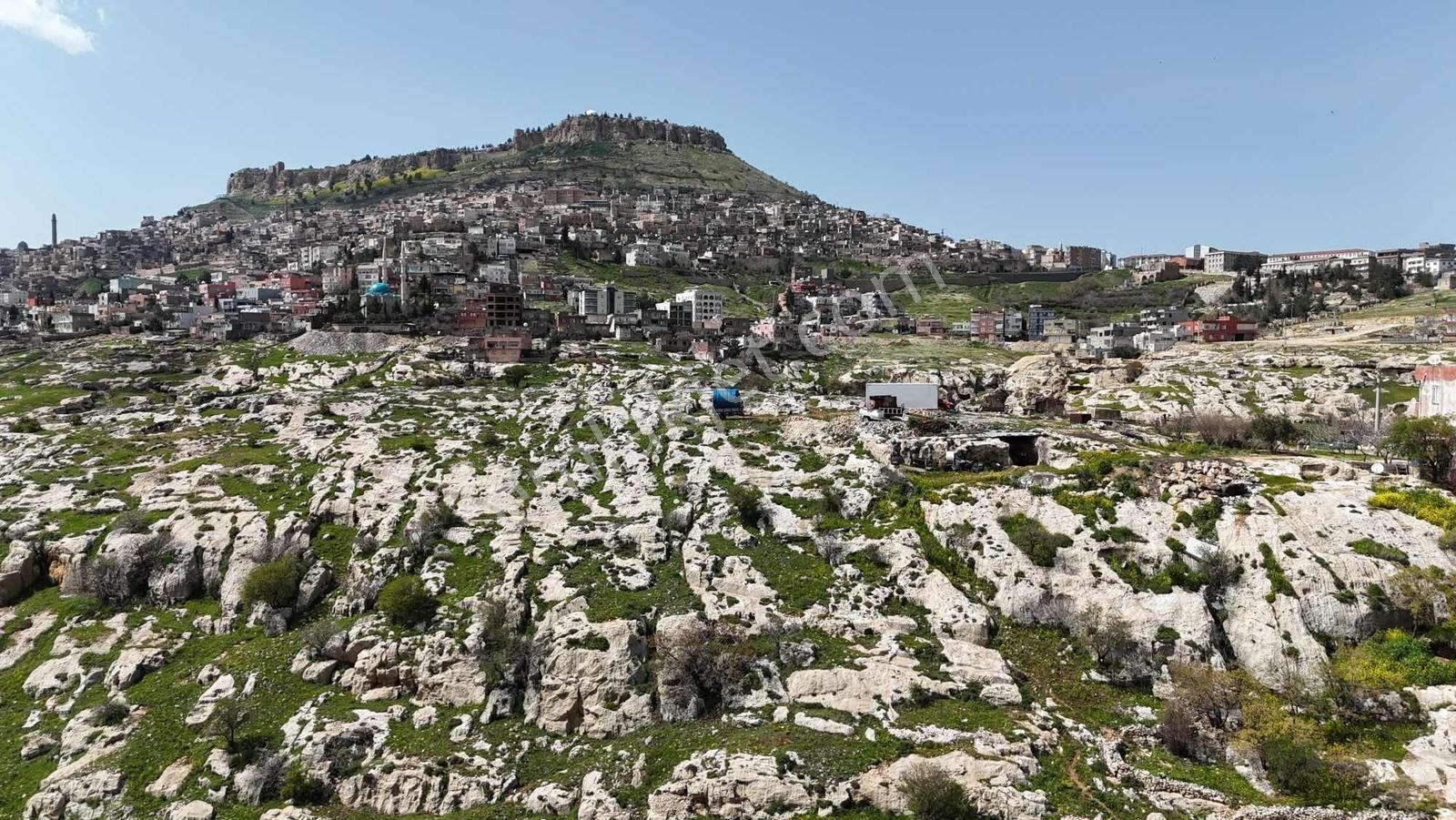 Murat Emlaktan Ordu Evi Yani 10.5 Dönüm Manzaralı Arazi Satılık — fotoğraf 7