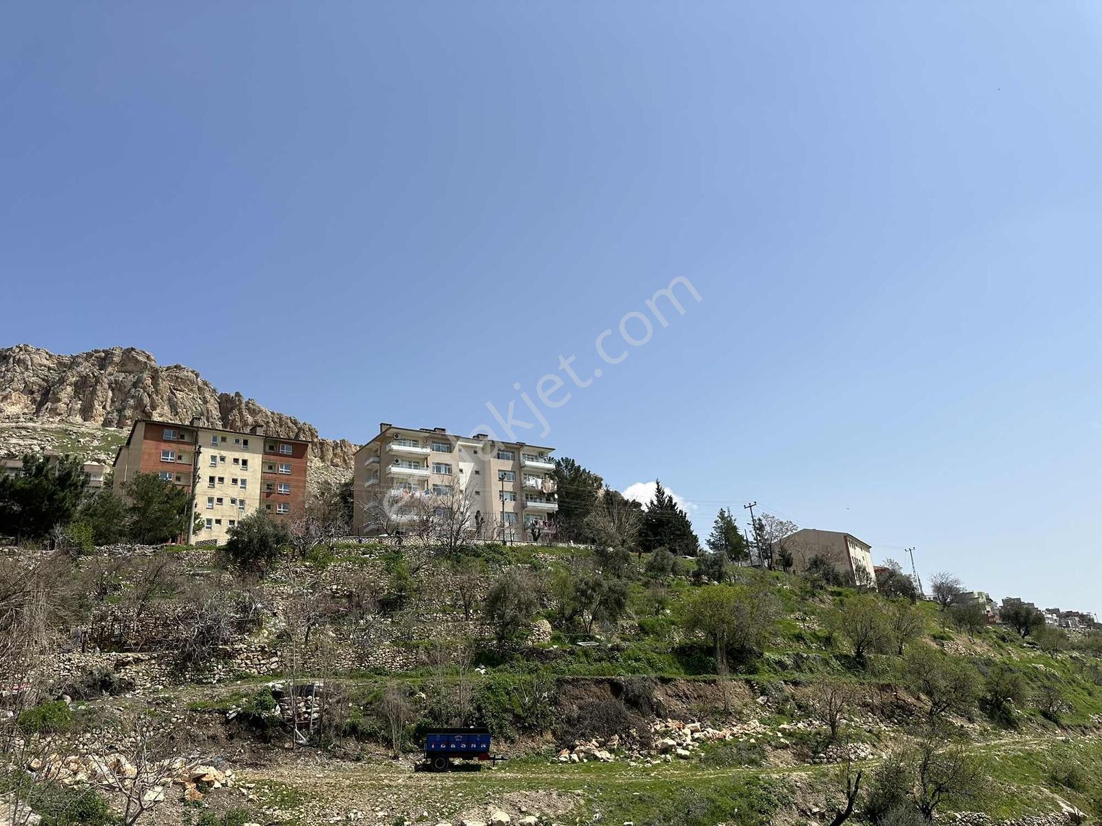 Murat Emlaktan Ordu Evi Yani 10.5 Dönüm Manzaralı Arazi Satılık — fotoğraf 9