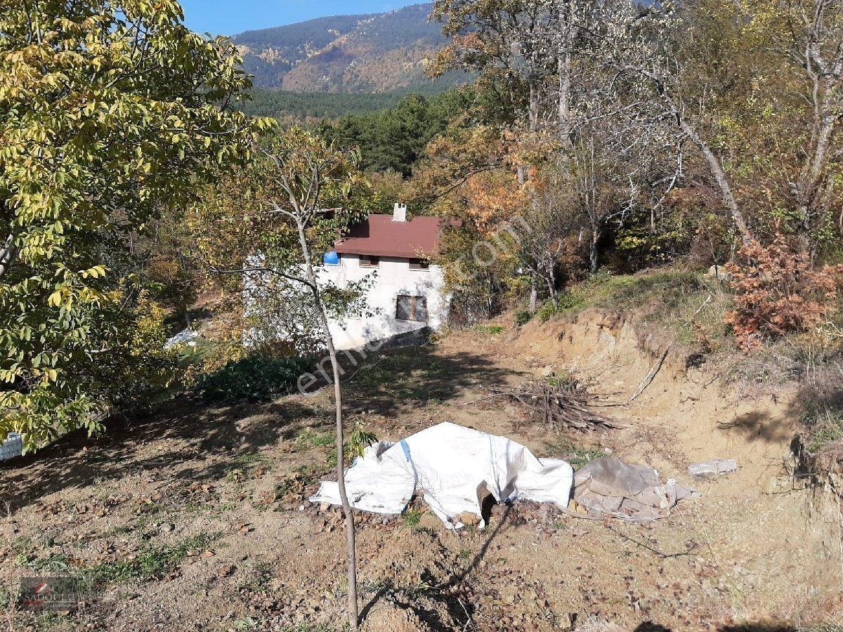 Osmangazi Soğukpınarda 2.215 M2 Satılık