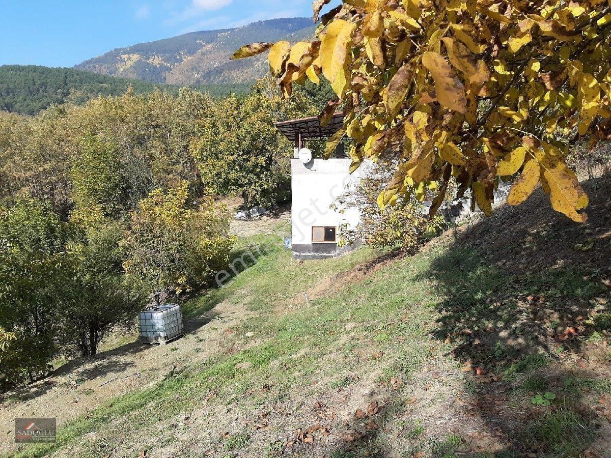 Osmangazi Soğukpınarda 2.215 M2 Satılık — fotoğraf 3