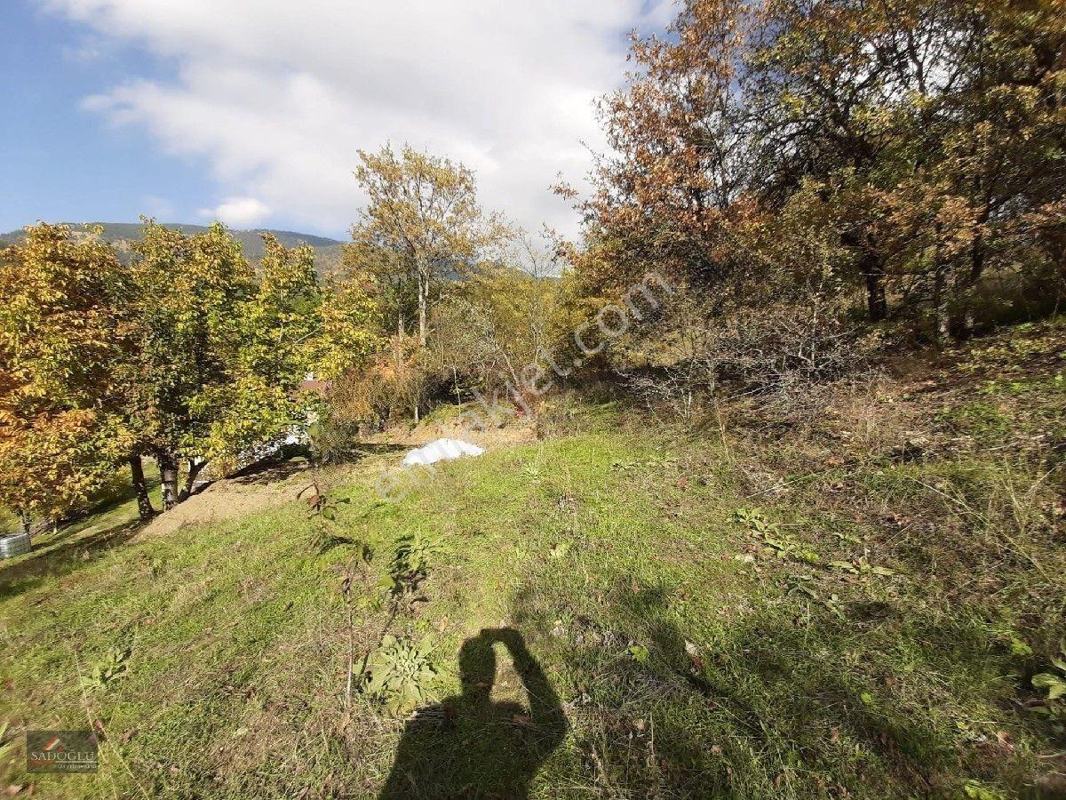 Osmangazi Soğukpınarda 2.215 M2 Satılık — fotoğraf 6