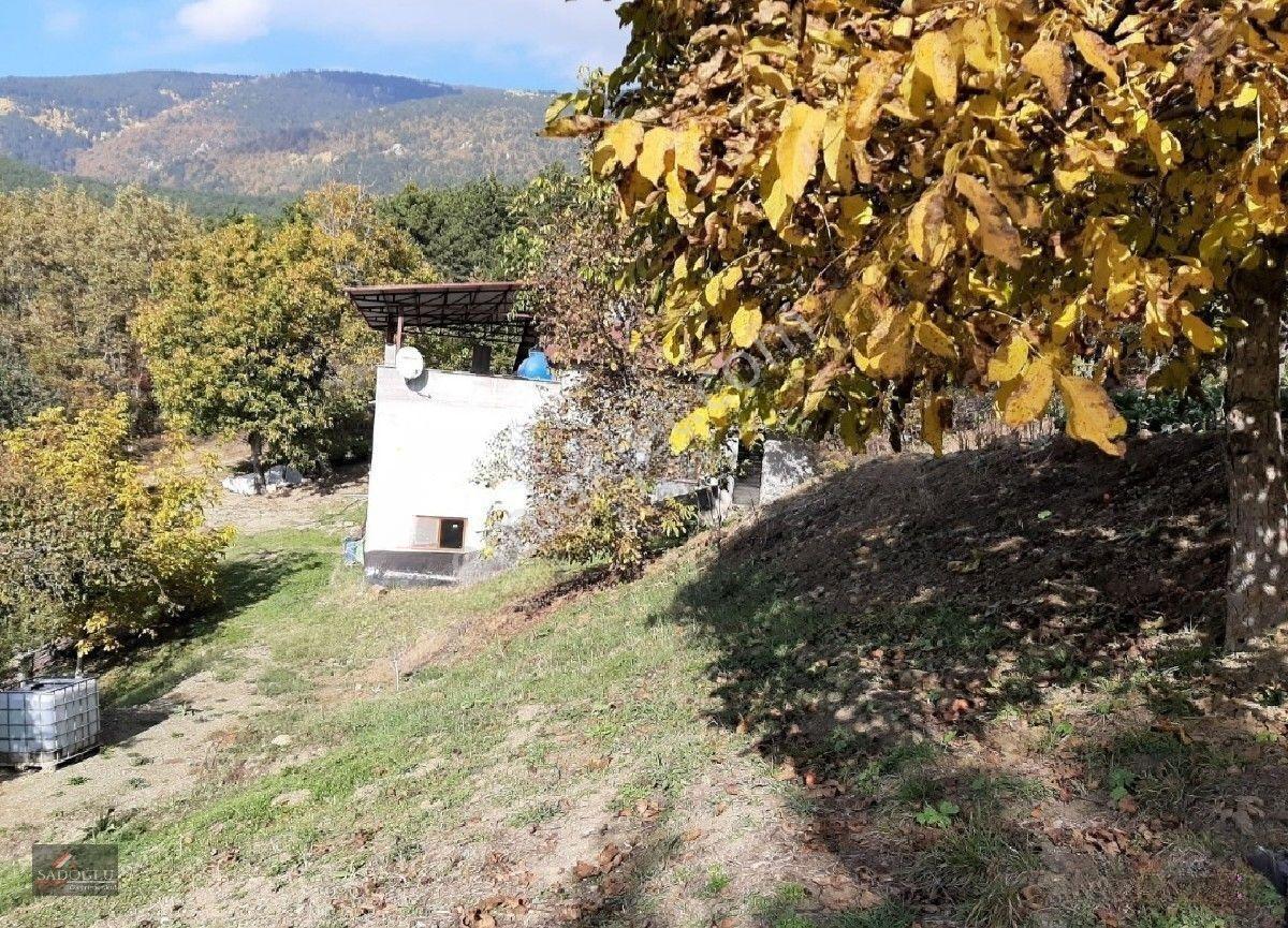 Osmangazi Soğukpınarda 2.215 M2 Satılık — fotoğraf 8
