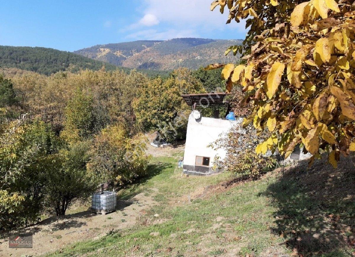 Osmangazi Soğukpınarda 2.215 M2 Satılık — fotoğraf 11