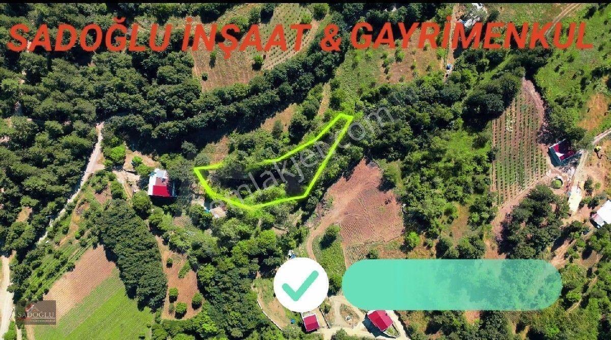 Osmangazi Soğukpınarda 2.215 M2 Satılık — fotoğraf 14
