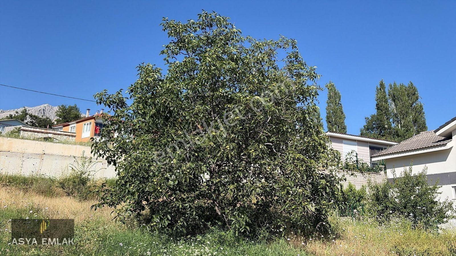 Sakarca Mahallesinde Satılık Muhtelif Arsa — fotoğraf 9