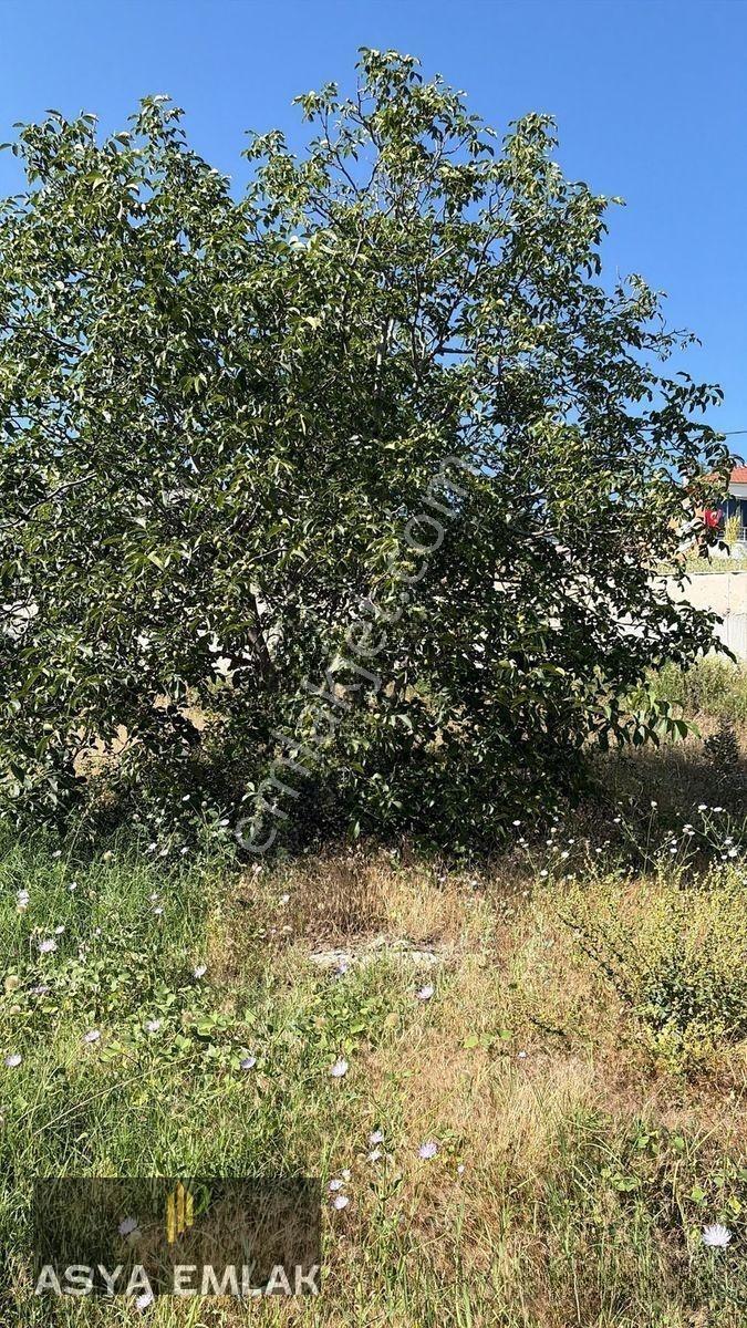 Sakarca Mahallesinde Satılık Muhtelif Arsa — fotoğraf 13