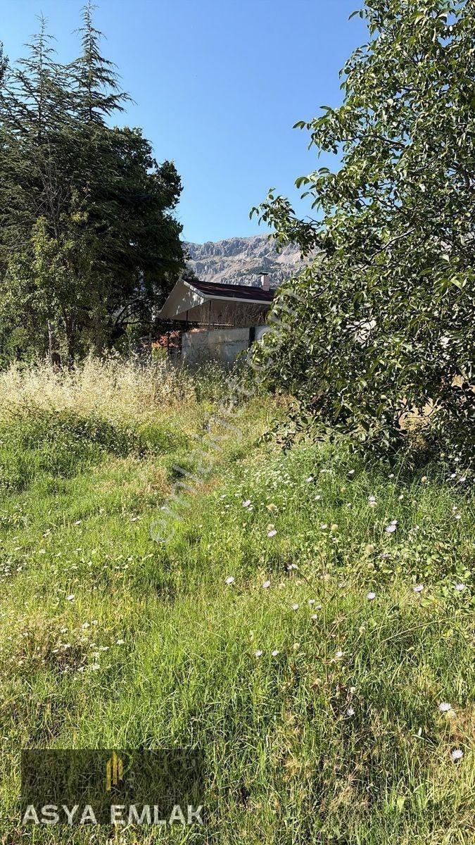 Sakarca Mahallesinde Satılık Muhtelif Arsa — fotoğraf 15