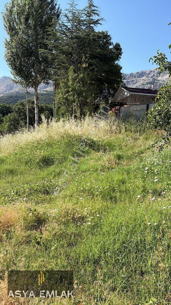 Sakarca Mahallesinde Satılık Muhtelif Arsa — fotoğraf 16