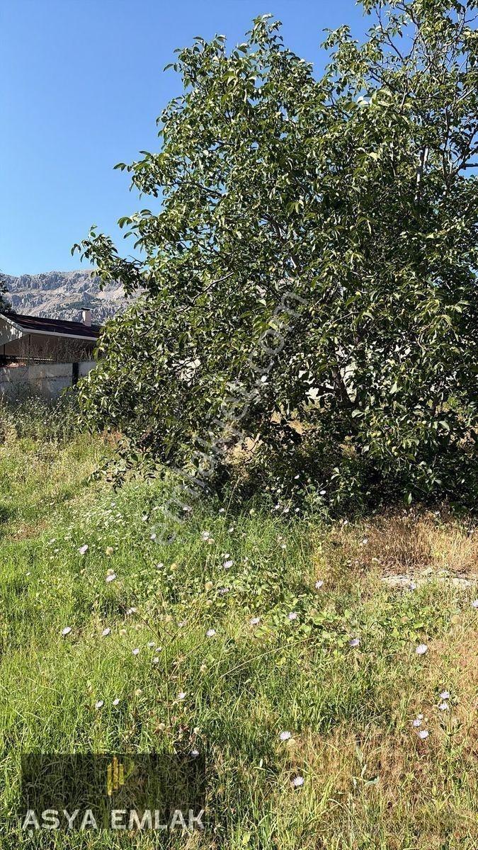 Sakarca Mahallesinde Satılık Muhtelif Arsa — fotoğraf 18