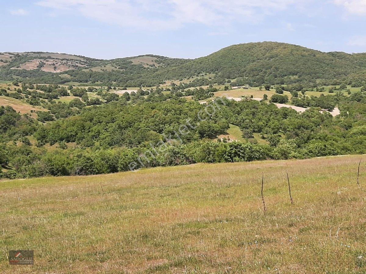 Kofcaz Elmacık Köyün'De 16.384 M2 Satılık Arazi