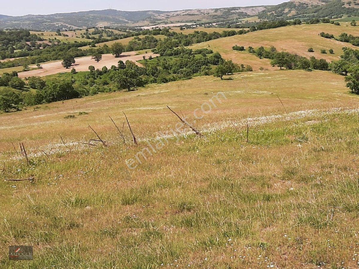 Kofcaz Elmacık Köyün'de 16.384 M2 Satılık Arazi — fotoğraf 3