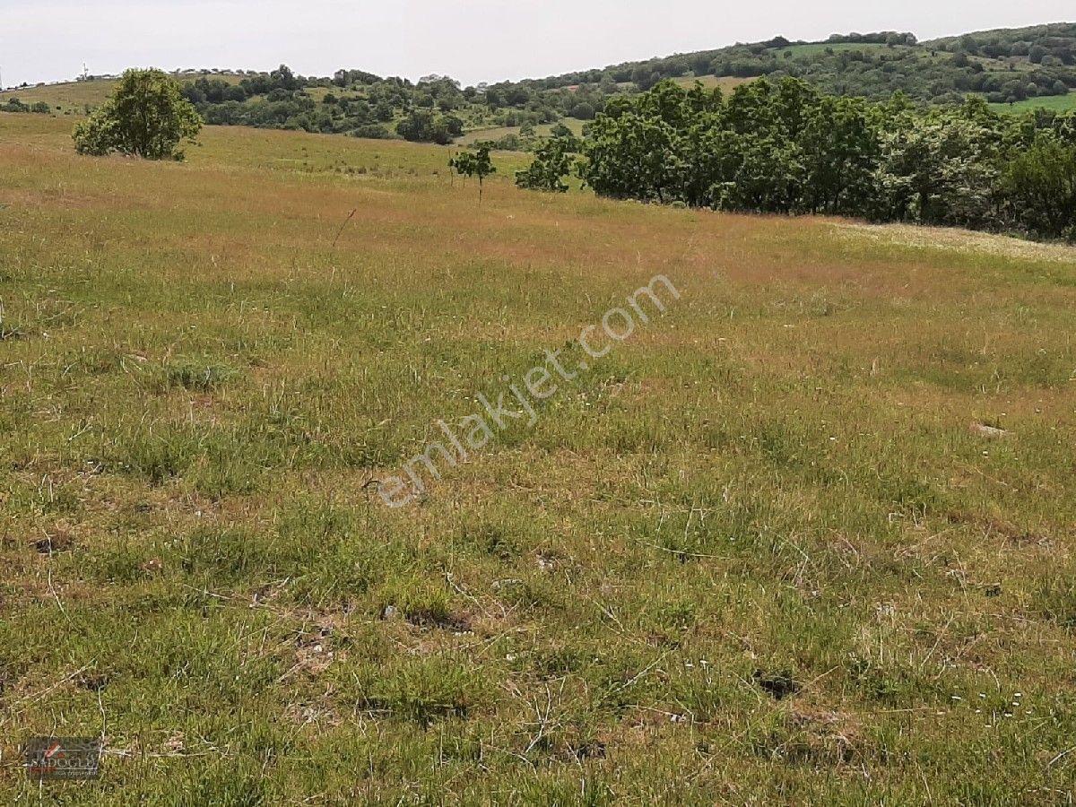 Kofcaz Elmacık Köyün'de 16.384 M2 Satılık Arazi — fotoğraf 4