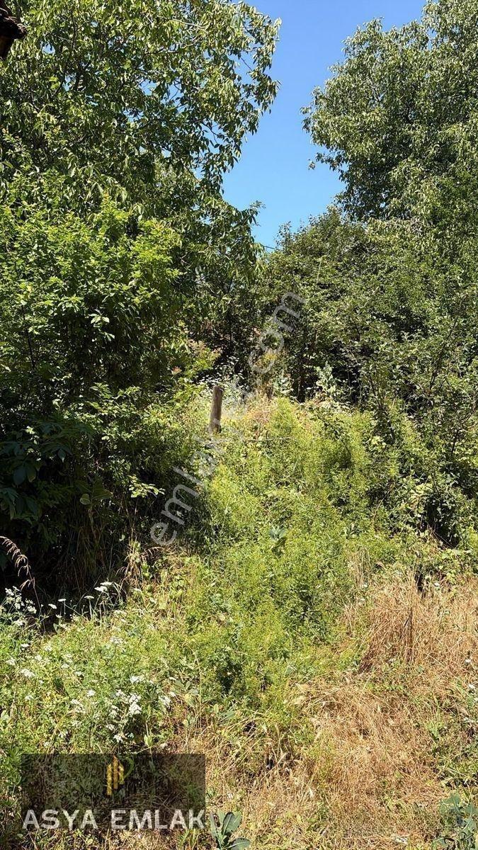 Ağlasun Sakarca Mahallesinde Satılık Muhtelif Arsa — fotoğraf 7