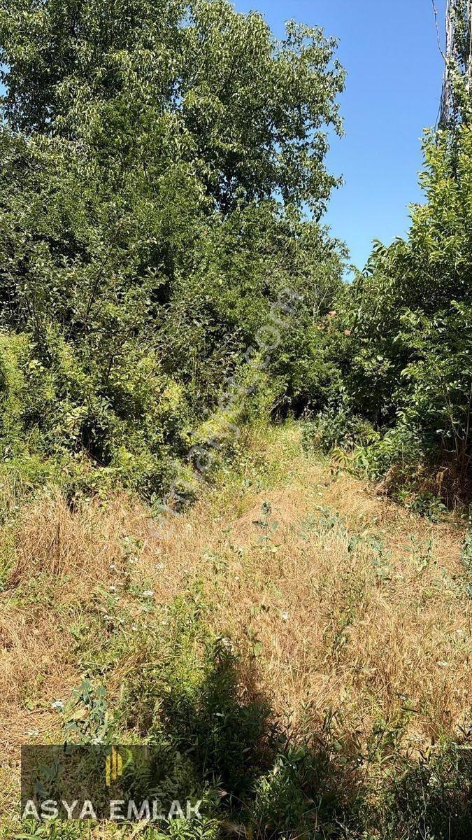 Ağlasun Sakarca Mahallesinde Satılık Muhtelif Arsa — fotoğraf 8