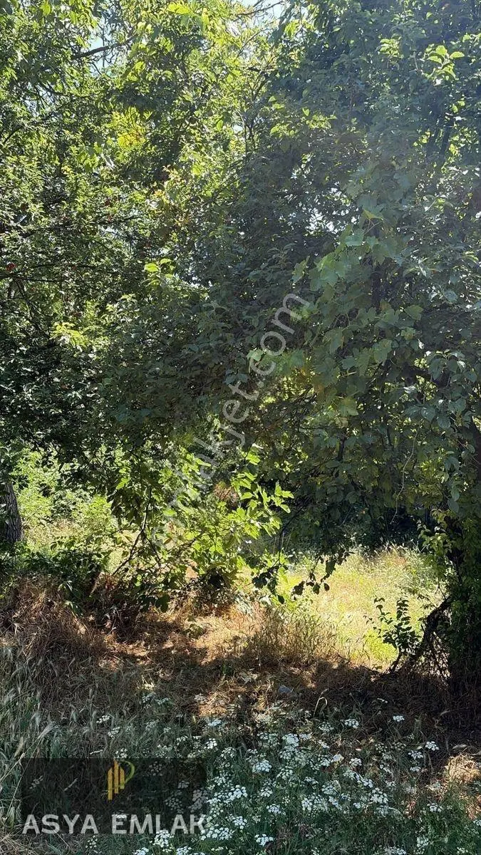 Ağlasun Sakarca Mahallesinde Satılık Muhtelif Arsa — fotoğraf 9