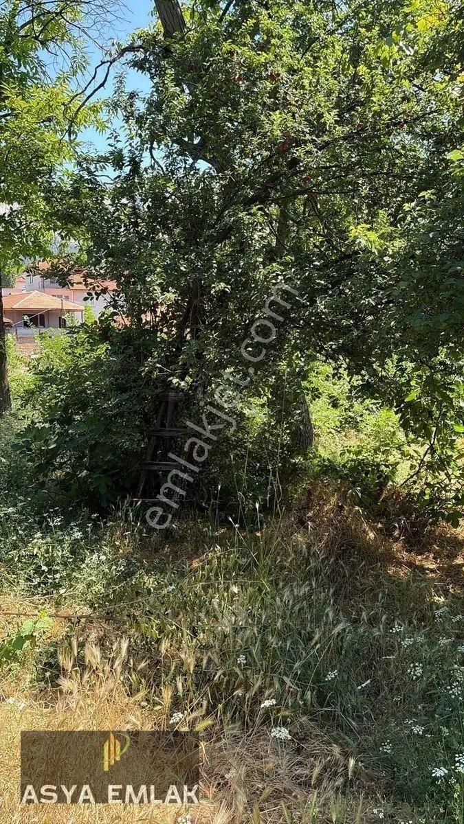 Ağlasun Sakarca Mahallesinde Satılık Muhtelif Arsa — fotoğraf 10
