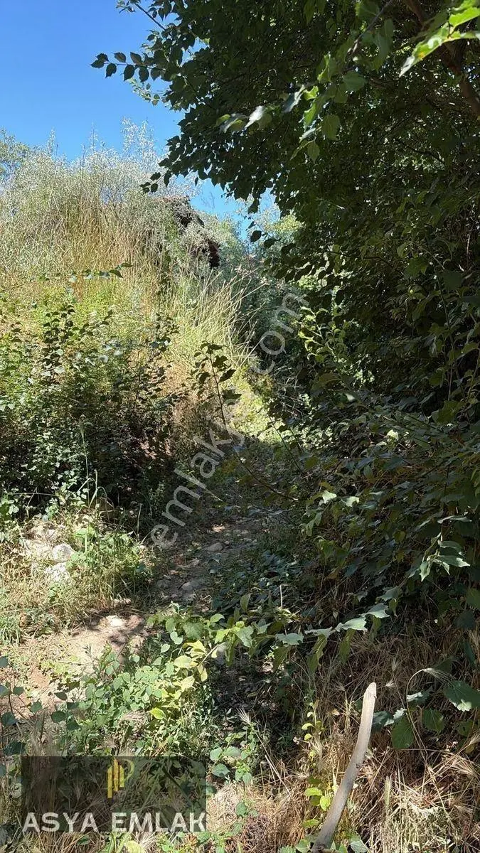 Ağlasun Sakarca Mahallesinde Satılık Muhtelif Arsa — fotoğraf 11
