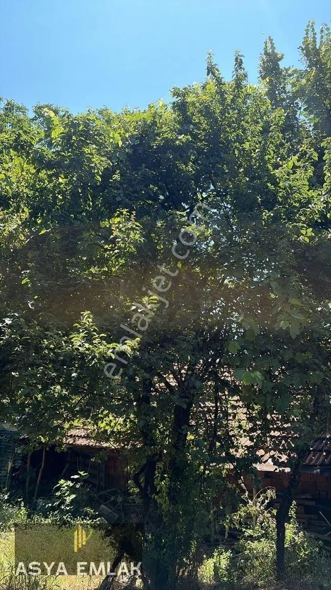 Ağlasun Sakarca Mahallesinde Satılık Muhtelif Arsa — fotoğraf 12
