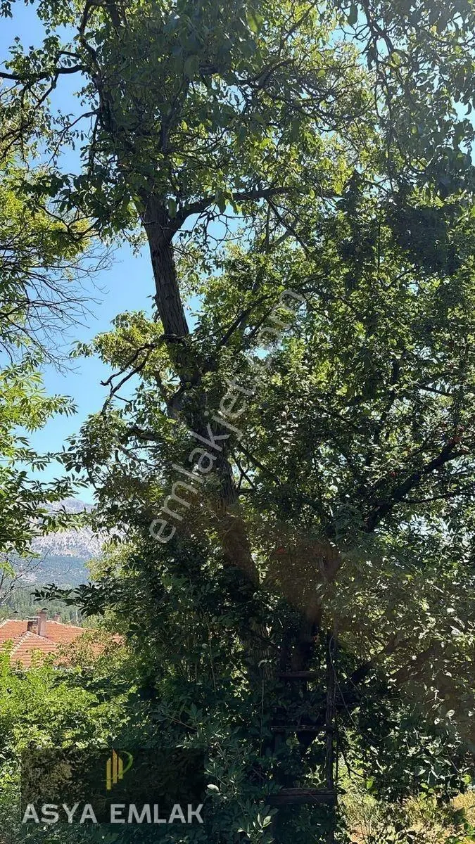 Ağlasun Sakarca Mahallesinde Satılık Muhtelif Arsa — fotoğraf 14