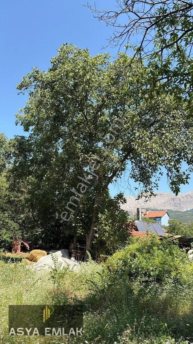 Ağlasun Sakarca Mahallesinde Satılık Muhtelif Arsa — fotoğraf 15