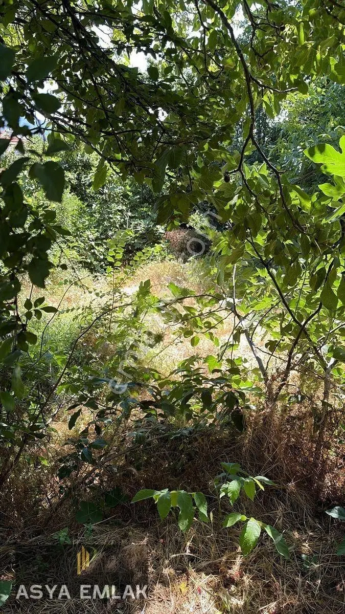 Ağlasun Sakarca Mahallesinde Satılık Muhtelif Arsa — fotoğraf 16