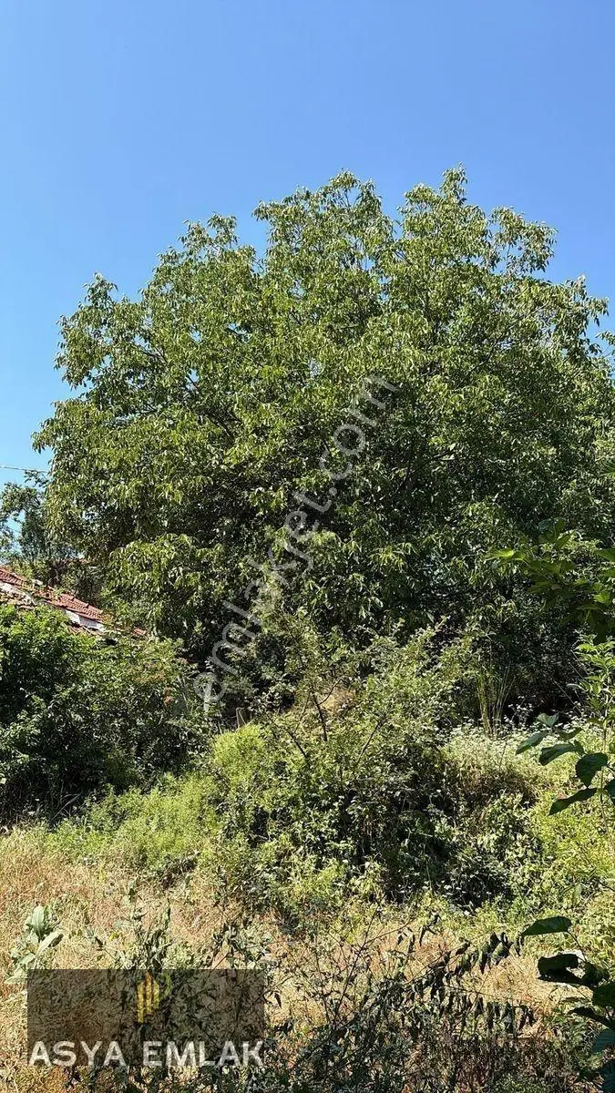 Ağlasun Sakarca Mahallesinde Satılık Muhtelif Arsa — fotoğraf 17