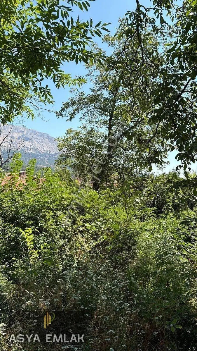 Ağlasun Sakarca Mahallesinde Satılık Muhtelif Arsa — fotoğraf 21