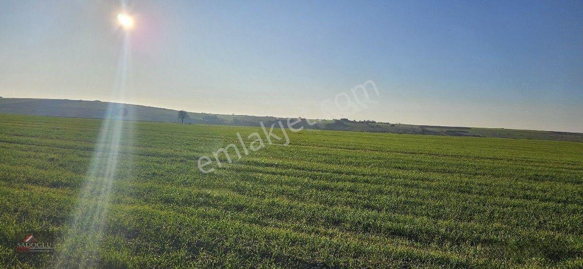 Tatarlar 8.860 M2 Müstakil Tapulu — fotoğraf 2