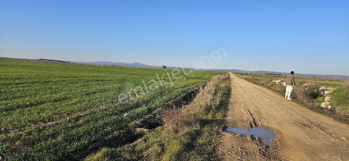 Tatarlar 8.860 M2 Müstakil Tapulu — fotoğraf 6