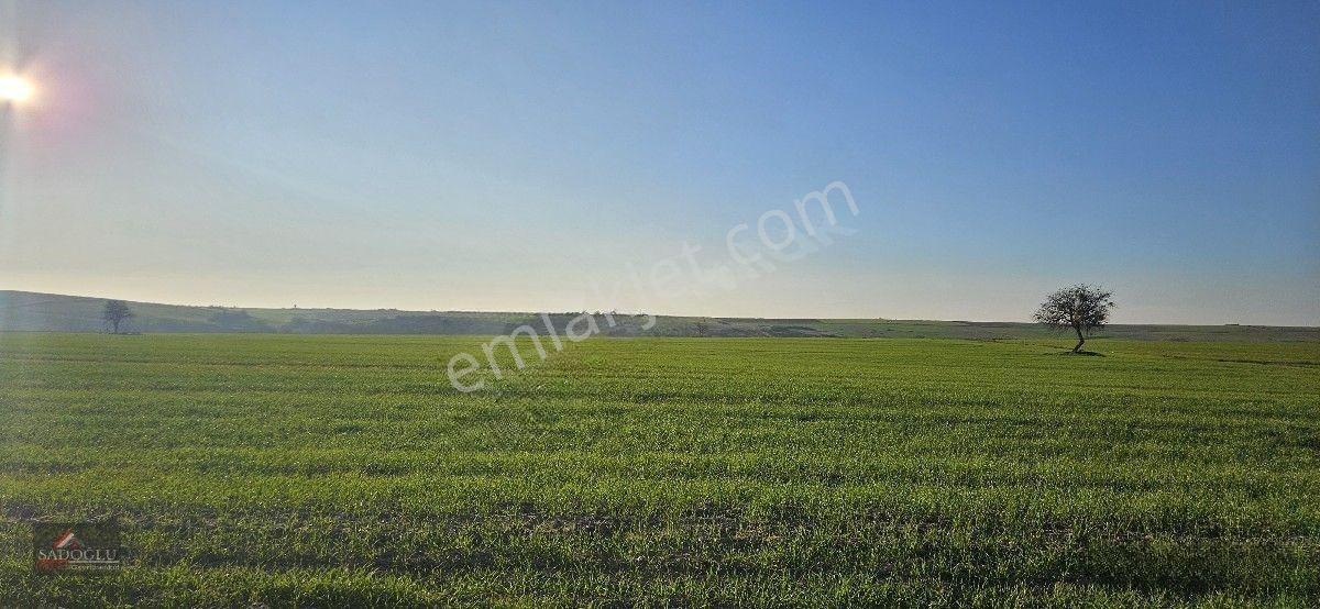Tatarlar 8.860 M2 Müstakil Tapulu — fotoğraf 7