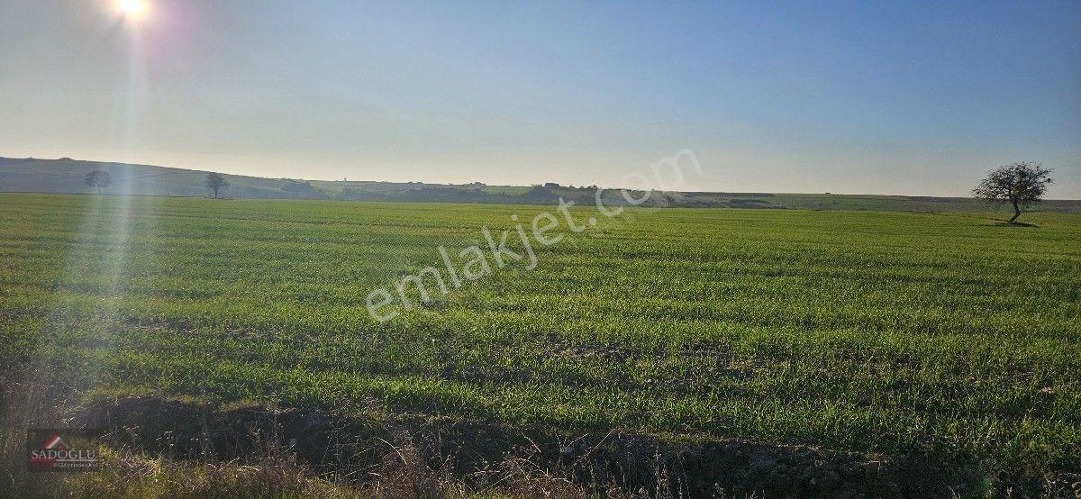 Tatarlar 8.860 M2 Müstakil Tapulu — fotoğraf 8