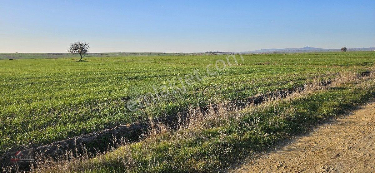 Tatarlar 8.860 M2 Müstakil Tapulu — fotoğraf 9