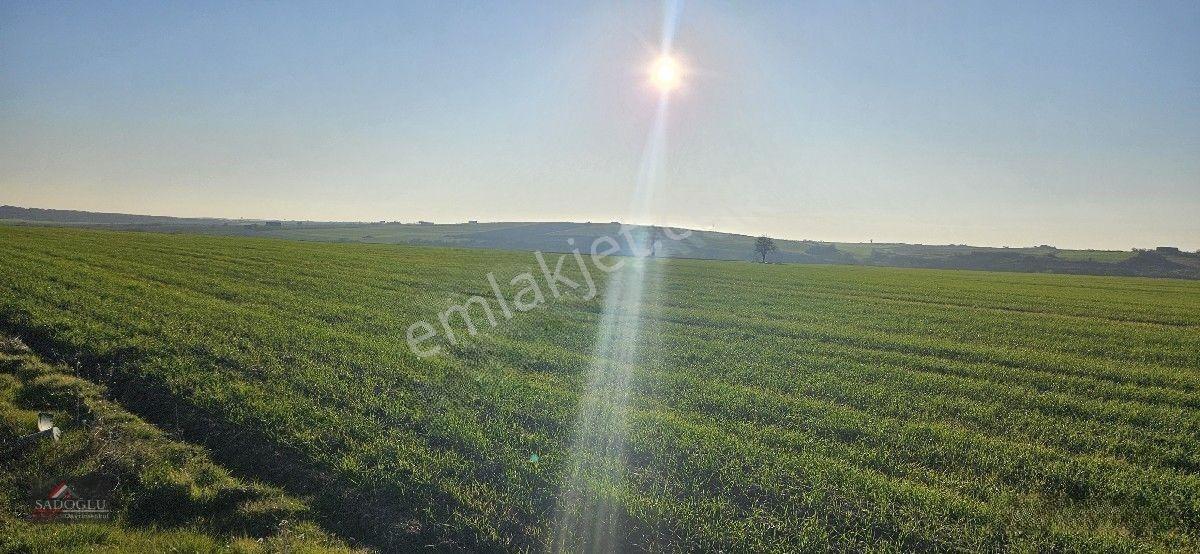 Tatarlar 8.860 M2 Müstakil Tapulu — fotoğraf 10