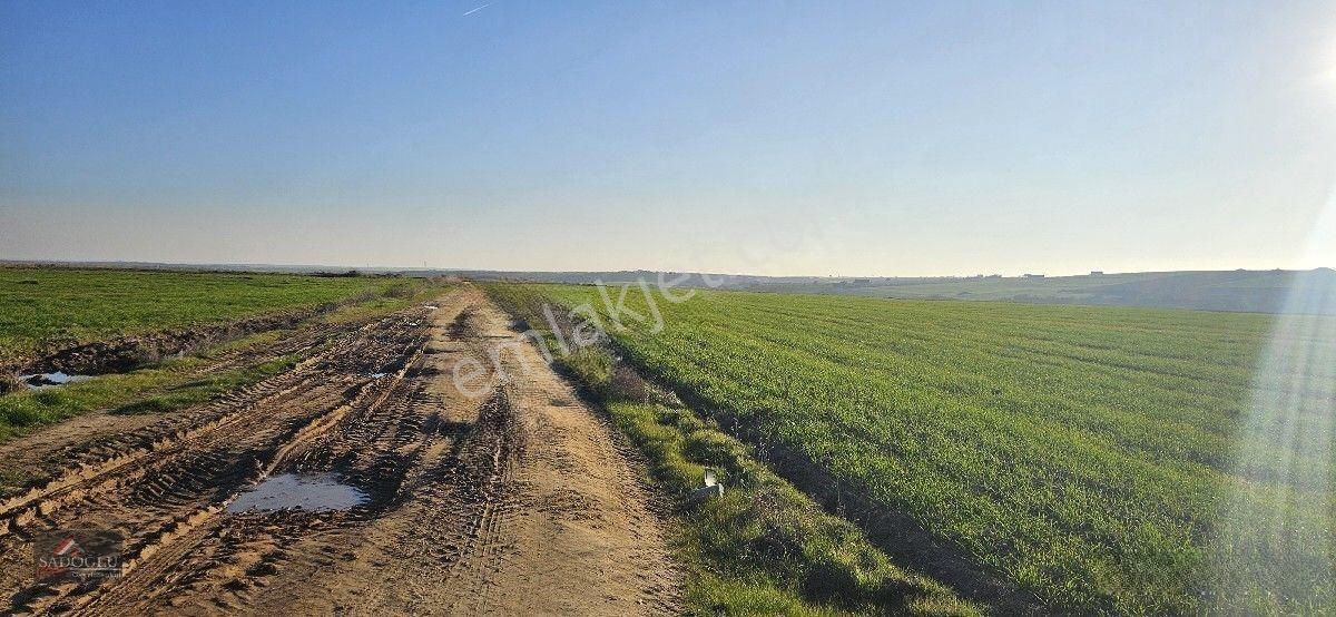 Tatarlar 8.860 M2 Müstakil Tapulu — fotoğraf 11