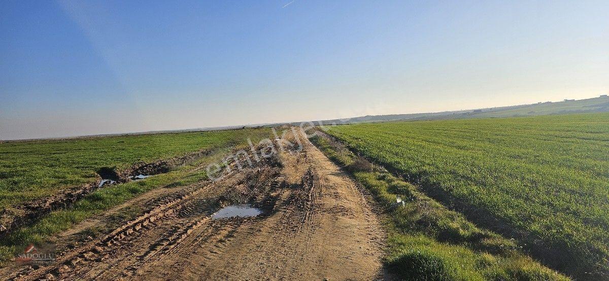 Tatarlar 8.860 M2 Müstakil Tapulu — fotoğraf 12