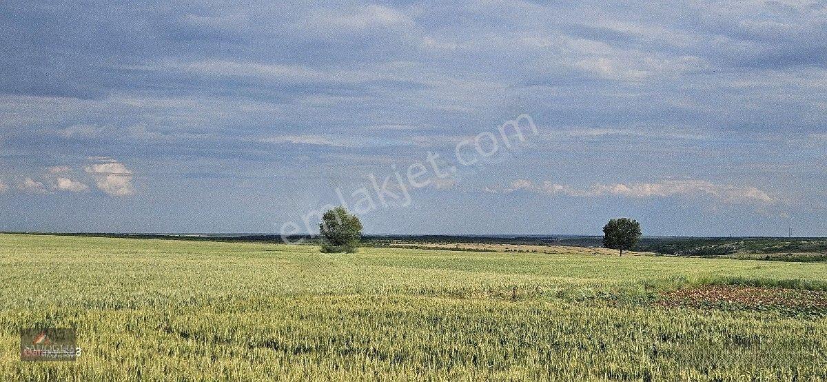 Tatarlar 8.860 M2 Müstakil Tapulu — fotoğraf 17