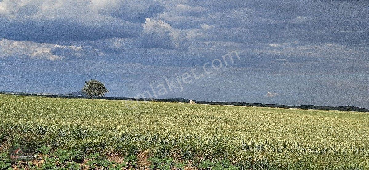 Tatarlar 8.860 M2 Müstakil Tapulu — fotoğraf 18