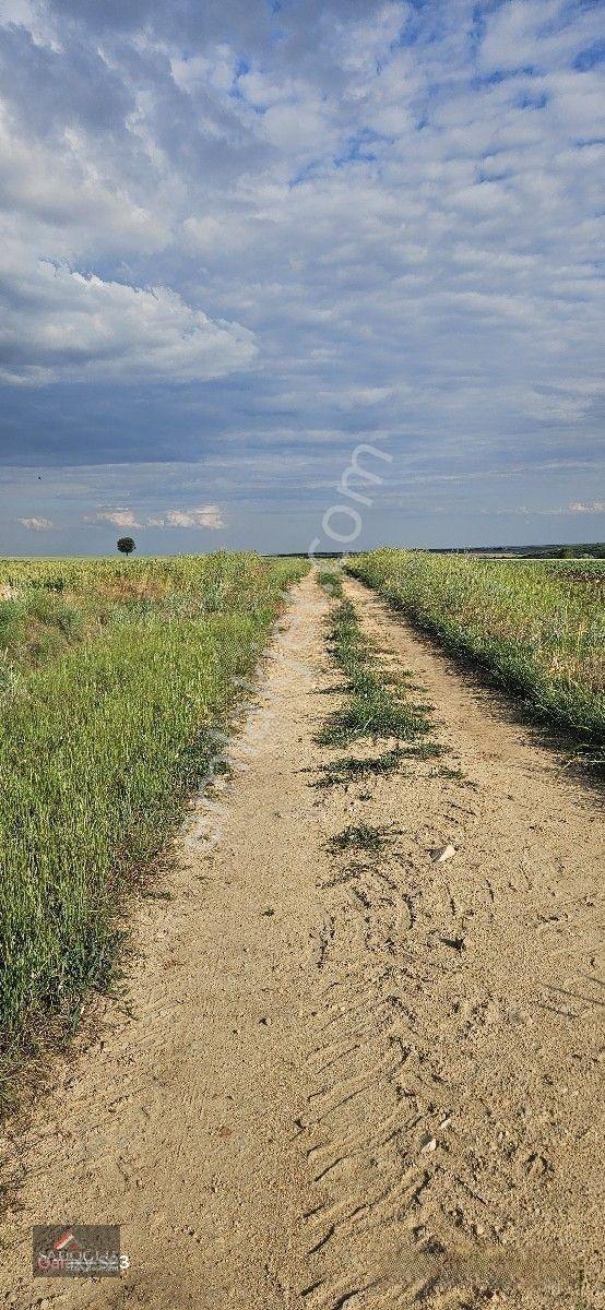 Tatarlar 8.860 M2 Müstakil Tapulu — fotoğraf 19