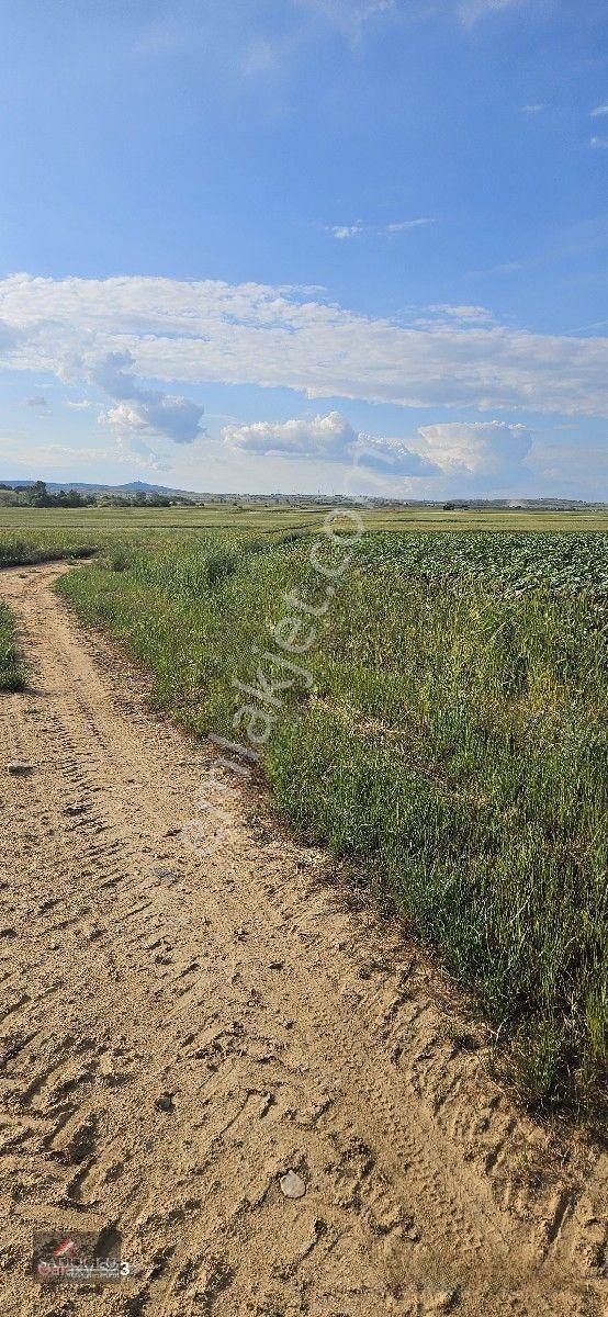 Tatarlar 8.860 M2 Müstakil Tapulu — fotoğraf 20
