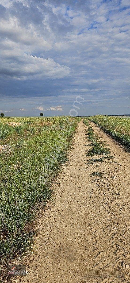 Tatarlar 8.860 M2 Müstakil Tapulu — fotoğraf 21
