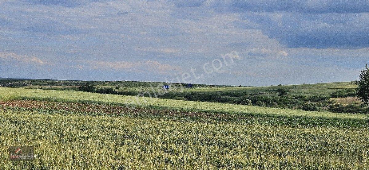 Tatarlar 8.860 M2 Müstakil Tapulu — fotoğraf 25