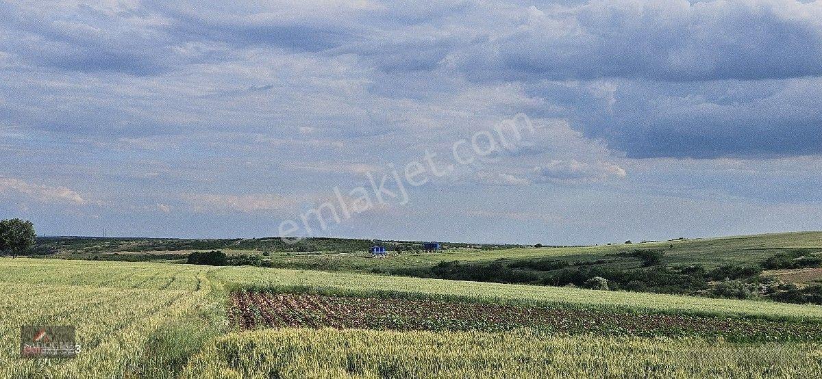 Tatarlar 8.860 M2 Müstakil Tapulu — fotoğraf 26