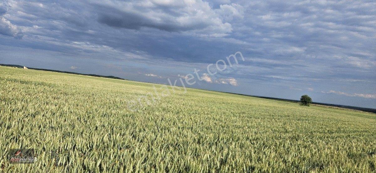 Tatarlar 8.860 M2 Müstakil Tapulu — fotoğraf 28