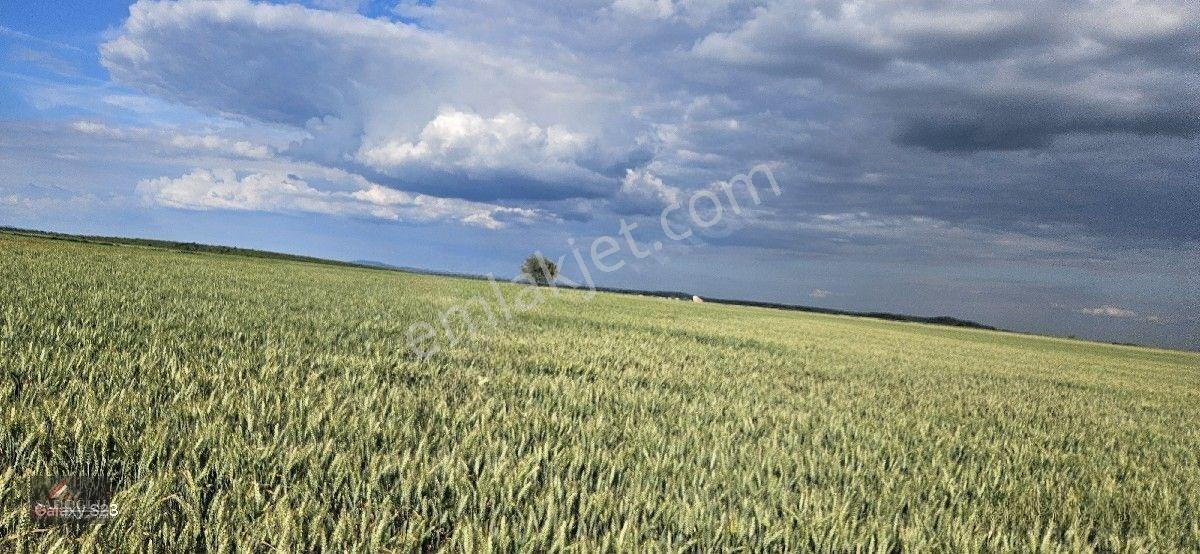 Tatarlar 8.860 M2 Müstakil Tapulu — fotoğraf 29